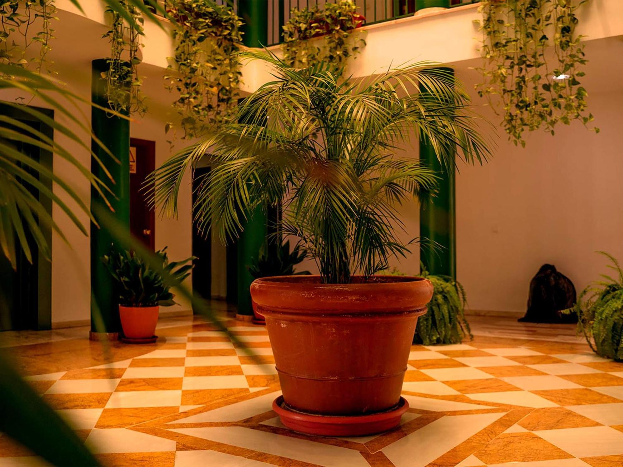 Apartamentos Vertice Bib Rambla Sevilla Eksteriør bilde